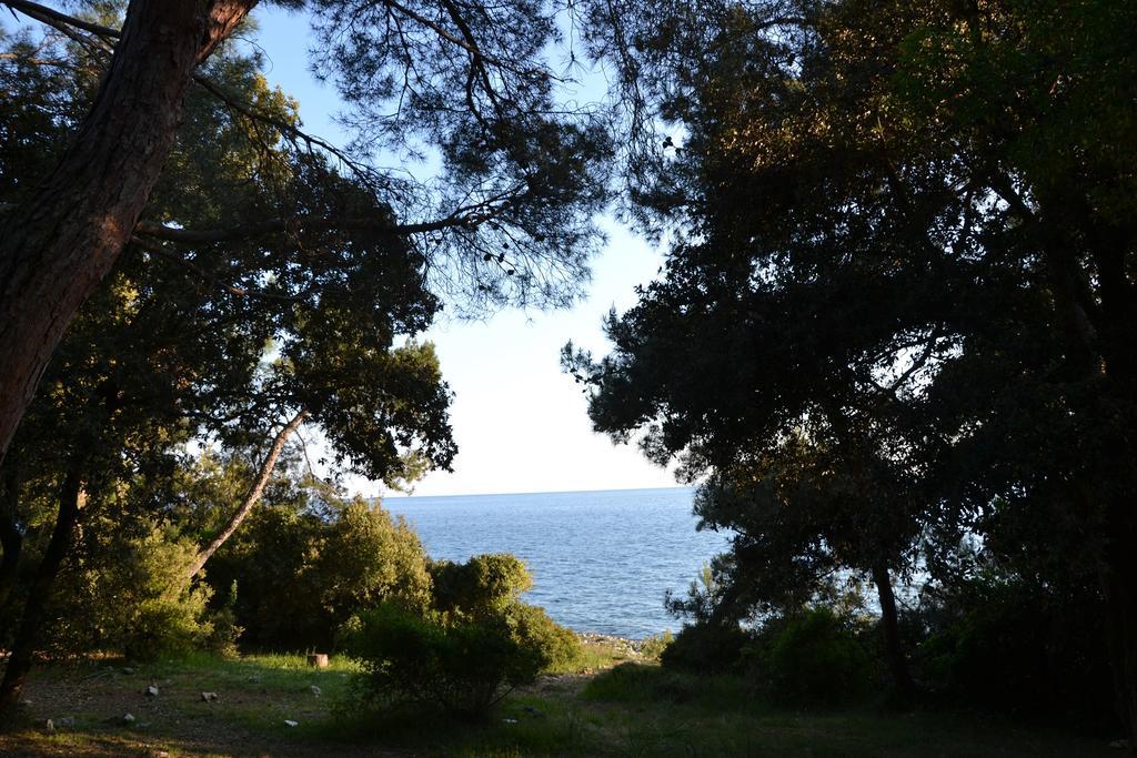 Koversada Camping Resort Vrsar Buitenkant foto